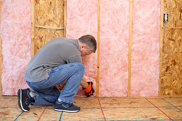 Best Insulation Installation Services in Kelseyville, CA
